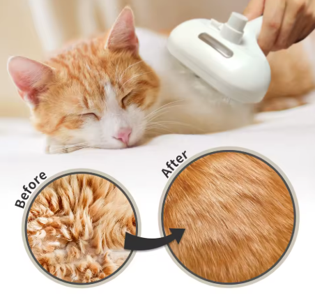 3-in-1 Pet Spa Brush