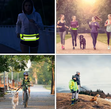 Hands-Free Dog Leash
