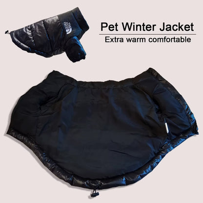 THE DOG FACE Winter Jacket