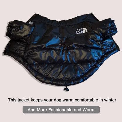 THE DOG FACE Winter Jacket
